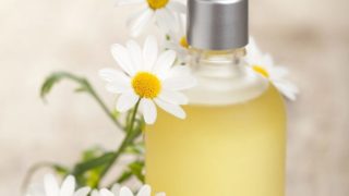 一瓶甘菊或洋甘菊精油与白鲜甘菊花