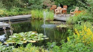 池塘的看法,并在一个花园环绕的庭院