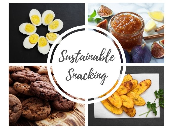 用煮鸡蛋、无花果果酱、饼干和车前草饼干拼贴的可持续小吃