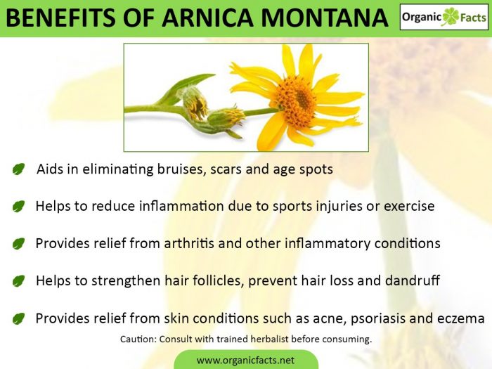 Arnica Montana的好处的信息图
