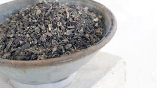 一碗在白色背景的Cohosh种子