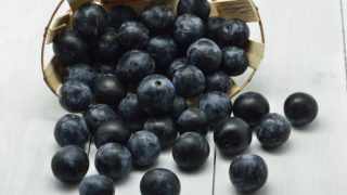 白色背景下的一篮子小黑李子