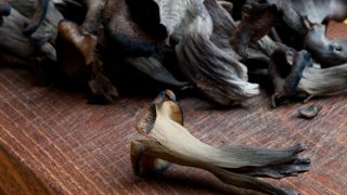 木制柜台上的黑色喇叭蘑菇