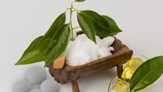 樟脑粉和油