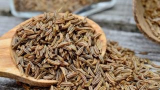 用木勺把葛缕子的种子收起来