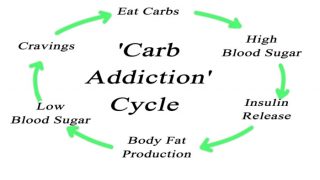 在“碳水化合物成瘾周期”信息图表