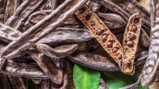 木质背景上的角豆荚和角豆树叶子