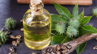 蓖麻籽油,蓖麻油新鲜水果的罐子,蓖麻种子的黑暗背景上用木勺