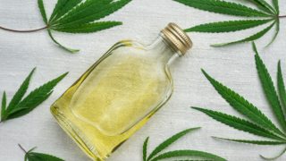 装在瓶子里的大麻油,被大麻叶子包围