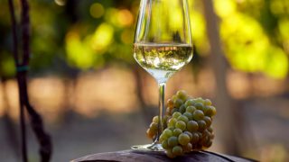 白葡萄酒一束白葡萄的玻璃,放置在具有在后面模糊树木桶。