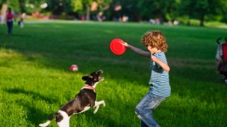 一个孩子在公园里和他的宠物狗玩耍。