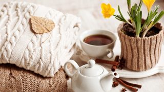 一杯热饮,针织衣服,肉桂和鲜花