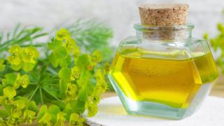 一瓶柏木精油,木桌上放着新鲜的绿柏花