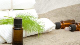 莳萝油,莳萝叶放在折叠的白色毛巾上,作为背景