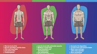 三种不同的类型的图示