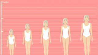 呈现出年轻女孩在高度成长为她变老的图