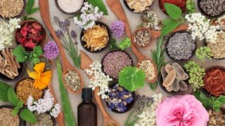 盛在碗和匙中的新鲜和干花、香草和水果