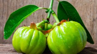 木桌上鲜绿色藤黄的特写