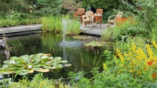 带池塘的花园景观