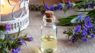 木桌上放着一瓶牛膝草精油,里面有新鲜的牛膝草花