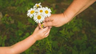 通过展示与分享鲜花善良的随机行为一个孩子长大了夫人