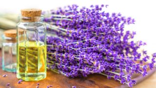 薰衣草油与薰衣草植物在一个木制托盘与白色背景