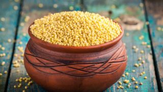 木桌上放着一个盛满谷子的陶瓷碗