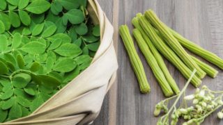 Science-Based Benefits & Uses of Moringa Oleifera 新鲜的叶辣木辣木水果或鸡腿,和辣木种子