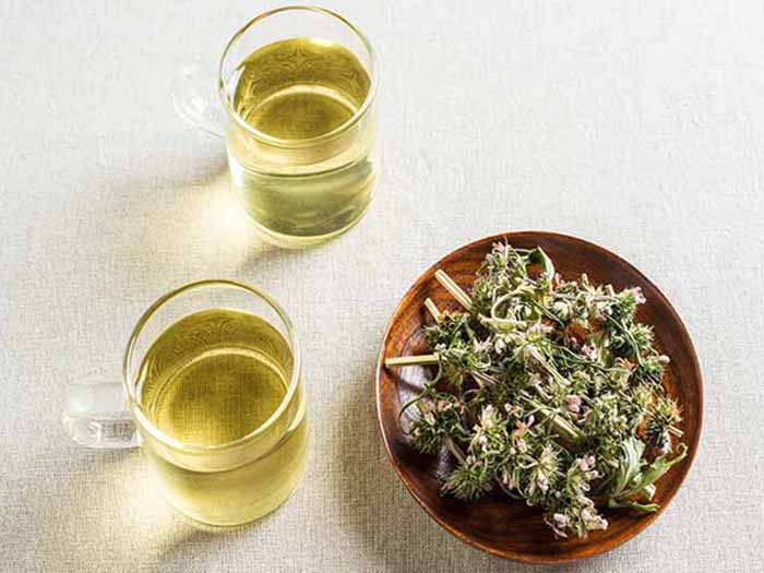 两杯益母草茶和一碗干益母草放在白色的表面上