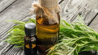 灰色的木制背景与艾植物艾叶精油两瓶