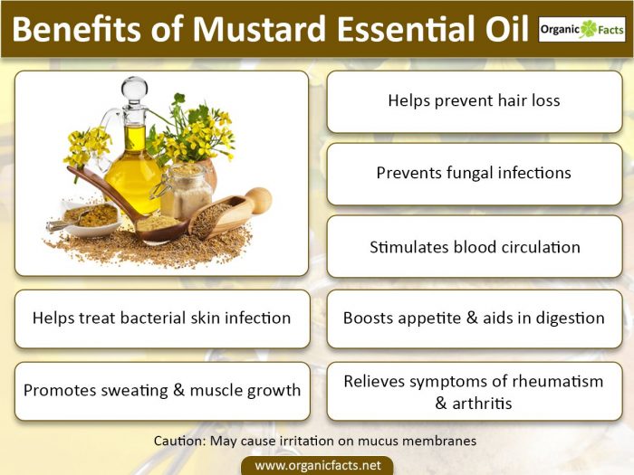 芥末精油对健康的好处-信息图