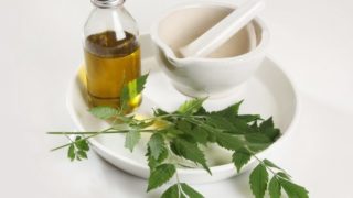 印楝油装在一个瓶子里,放在一个白色的陶瓷盘子里,配上研钵和杵,还有一些印楝叶