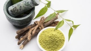 研钵中的楝叶和杵与丁香膏、汁液和嫩枝、粉末和油