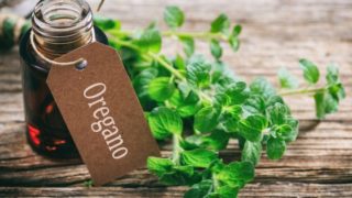 木桌上放着一瓶牛至油和牛至叶