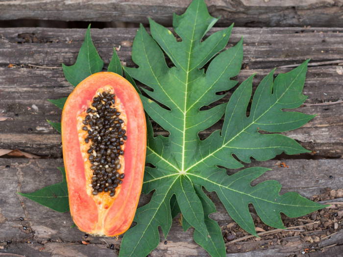 Close up of fresh, ripe halved papaya with seeds and papaya leaf on a wooden table