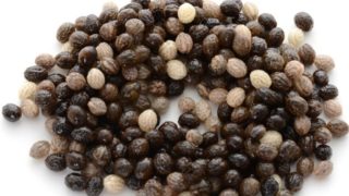 白色背景上的木瓜种子