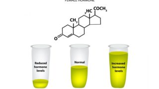 图示黄体酮的化学方程式