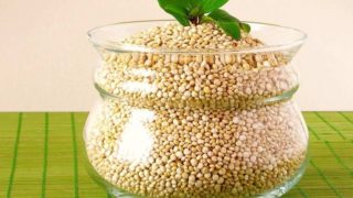 藜麦种子放在背景平平的玻璃锅里