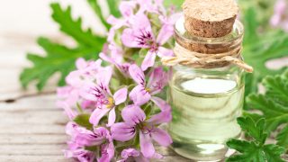 玫瑰天竺葵精油与新鲜的天竺葵花,在木板上