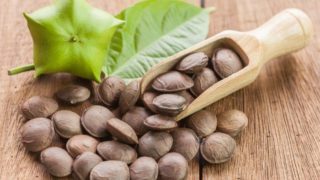 在一个木制平台一对夫妇萨沙INCHI种子