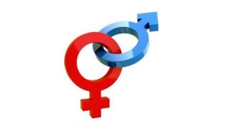 在白色背景上连接男性和女性符号。