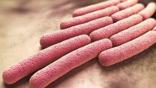 代表特写细菌的图形