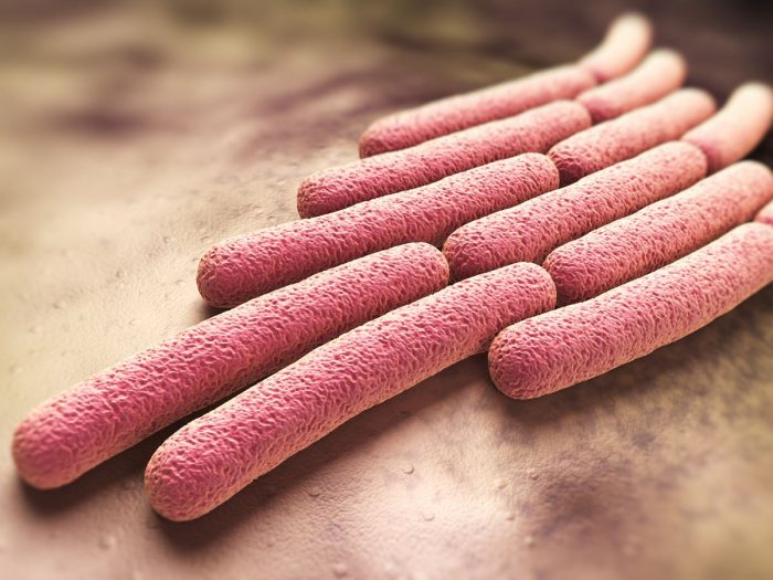 A graphic representing close-up of bacteria
