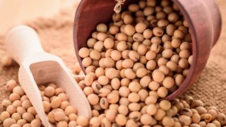 用木勺和囊的大豆特写