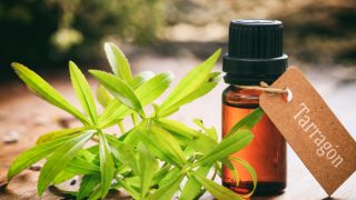 龙蒿精油瓶标签,旁边新鲜龙蒿叶