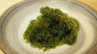 新鲜的海葡萄(Umibudo/海带)放在白色盘子里