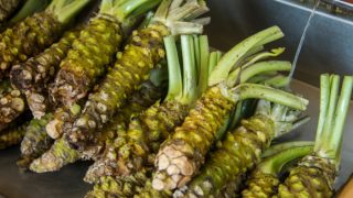 新鲜的未加工的wasabi根特写镜头在市场上