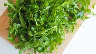 木砧板上的豆瓣菜