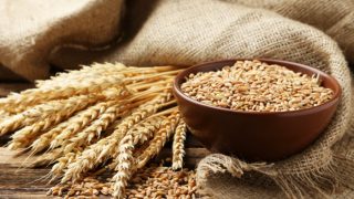 木桌上放着一碗麦穗和一个麻袋