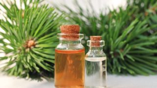 白色背景下的白杉木油和树枝瓶的特写